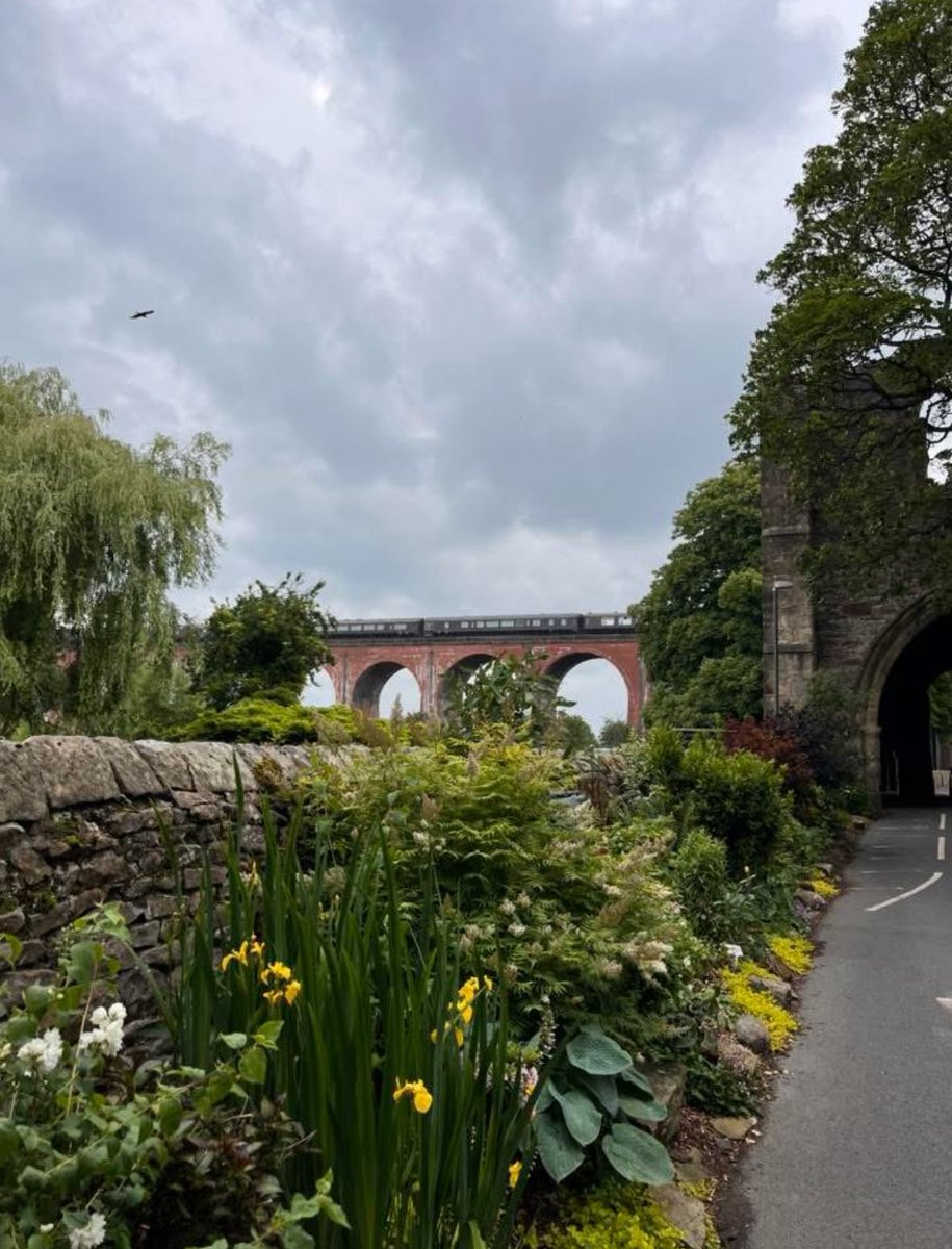 Jean Lord (@jeanlord70) on Twitter photo You can never be sure when a judge for Best Kept Village will arrive or by what transport
#royaltrain
<a href="/WhalleyInBloom/">Whalley in Bloom</a>
<a href="/VisitWhalley/">Visit Whalley</a>
<a href="/kingsbridgein/">Kingsbridge in Bloom</a> <a href="/InWhalley/">Love Whalley in Bloom</a>
#bestkeptvillage
<a href="/LoveWhalley/">❤️Whalley</a>
#trainspotting
<a href="/The_RHS/">The RHS</a> You can never be sure when a judge for Best Kept Village will arrive or by what transport
#royaltrain
<a href="/WhalleyInBloom/">Whalley in Bloom</a>
<a href="/VisitWhalley/">Visit Whalley</a>
<a href="/kingsbridgein/">Kingsbridge in Bloom</a> <a href="/InWhalley/">Love Whalley in Bloom</a>
#bestkeptvillage
<a href="/LoveWhalley/">❤️Whalley</a>
#trainspotting
<a href="/The_RHS/">The RHS</a>