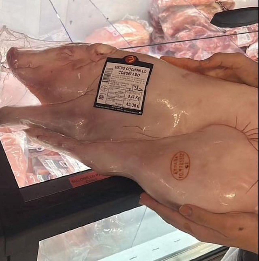 خوک چطوری حلال شده؟🧐