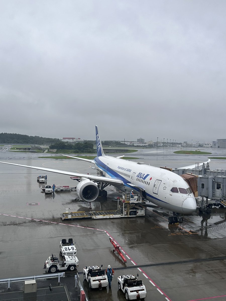 Daniel_Yashiro's tweet photo. やばいな
雨ばかり☔ https://t.co/88HQDhUmBb