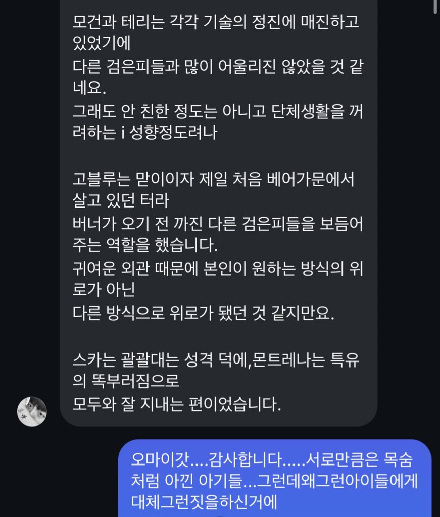 Rakel_bf's tweet photo. 검피들 관계 https://t.co/e0YKpslcI6