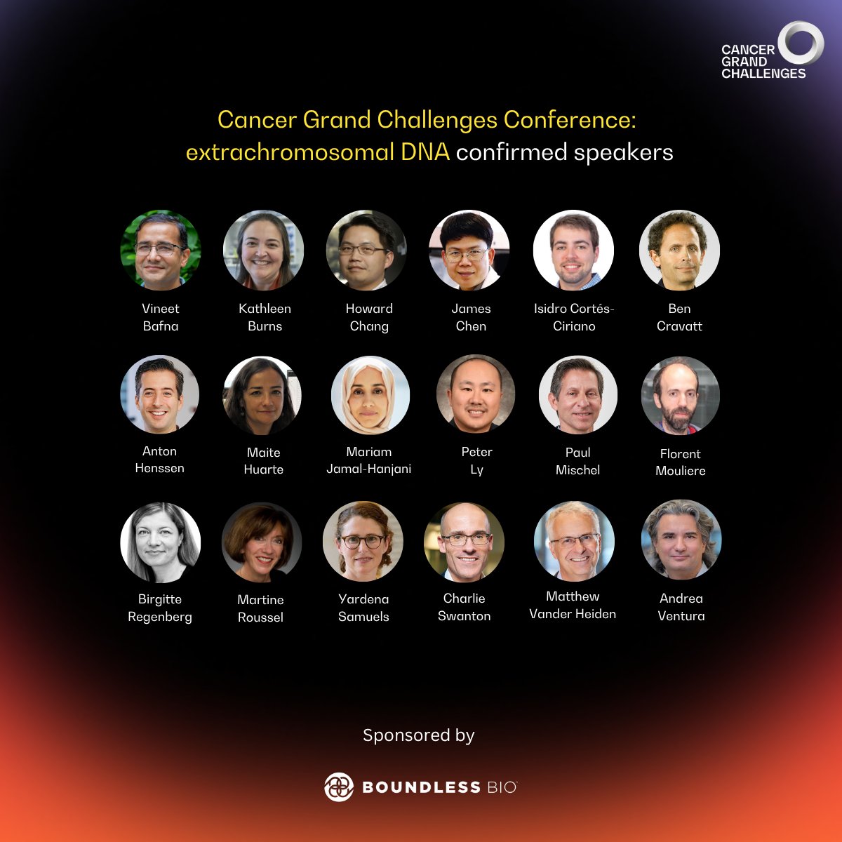 Cancer Grand Challenges (@cancergrand) on Twitter photo #CGCecDNA starts tomorrow! We canāt wait to hear from our stellar line up of speakers at the first instalment of the Cancer Grand Challenges Conference Series focused on extrachromosomal DNA. See you at the <a href="/royalsociety/">The Royal Society</a>.
Click here for more info: bit.ly/4jEpmiI #CGCecDNA starts tomorrow! We canāt wait to hear from our stellar line up of speakers at the first instalment of the Cancer Grand Challenges Conference Series focused on extrachromosomal DNA. See you at the <a href="/royalsociety/">The Royal Society</a>.
Click here for more info: bit.ly/4jEpmiI