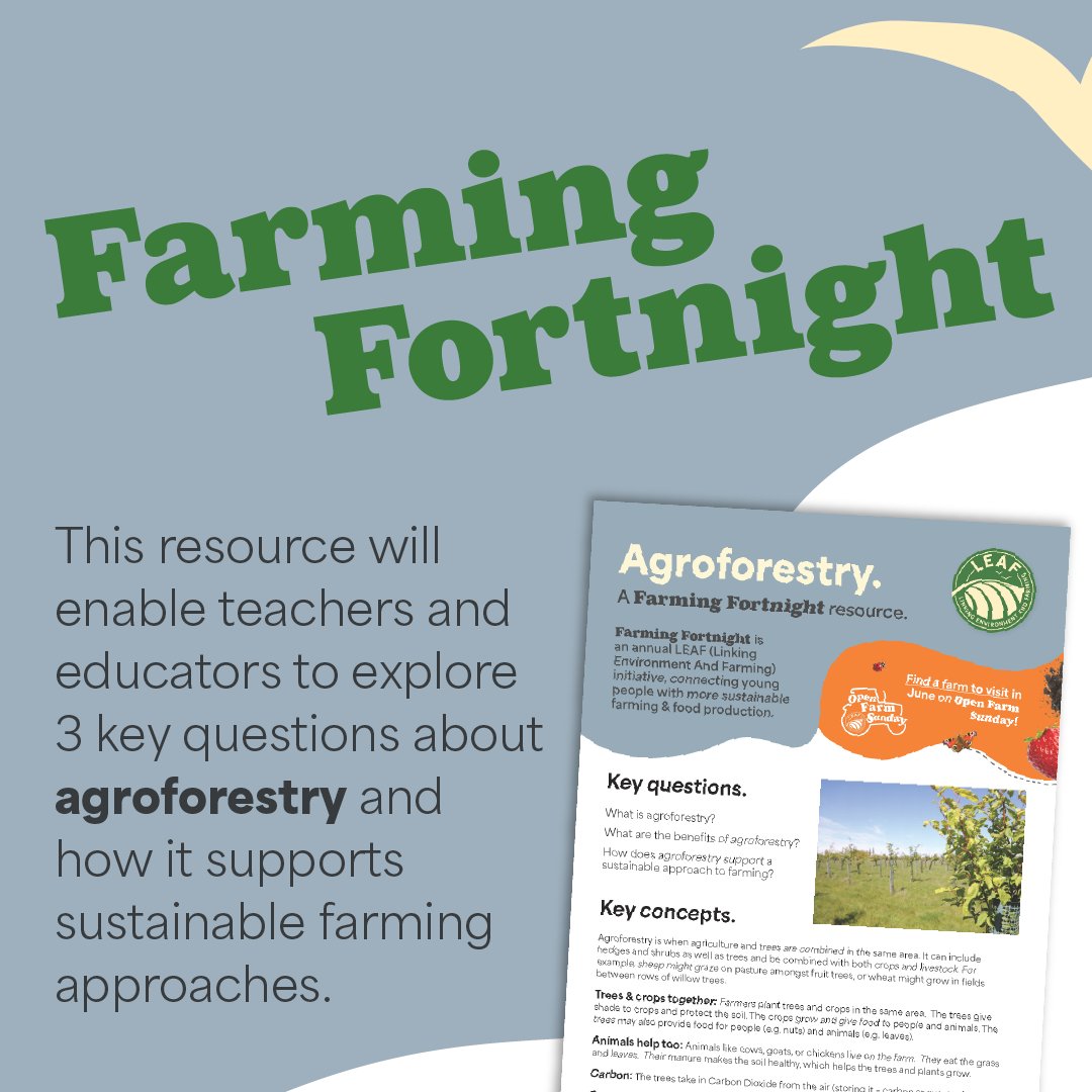 Find out more about agroforestry in this brilliant resource 🌳

From sheep under fruit trees 🍏 to wheat between willow rows 🌿—it's farming that works with the land, not against it. 

Download it here: countrysideclassroom.org.uk/resources/1855
#FarmingFortnight2025