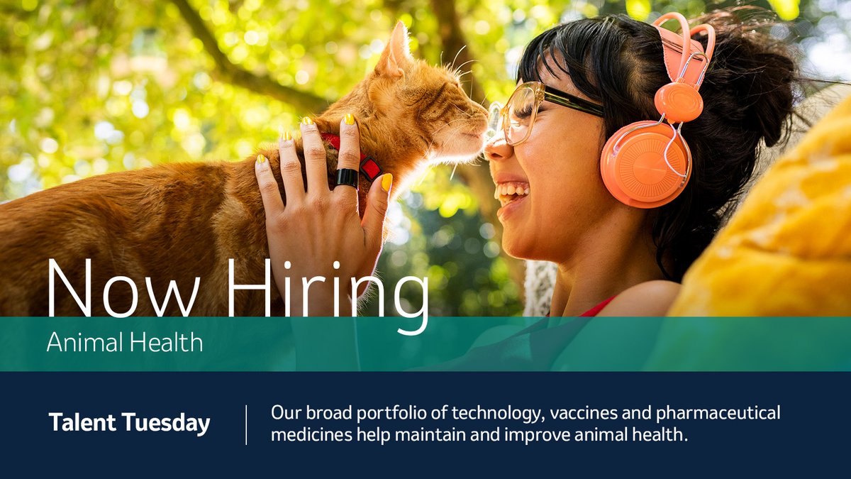 It’s #TalentTuesday!✨ You may know that our MSD Animal Health division supports the health and well-being of livestock, but did you know we’re innovating for companion animals? Explore the important work we’re doing and apply for jobs today. 👉bit.ly/4j6nj8g #MSDCareers