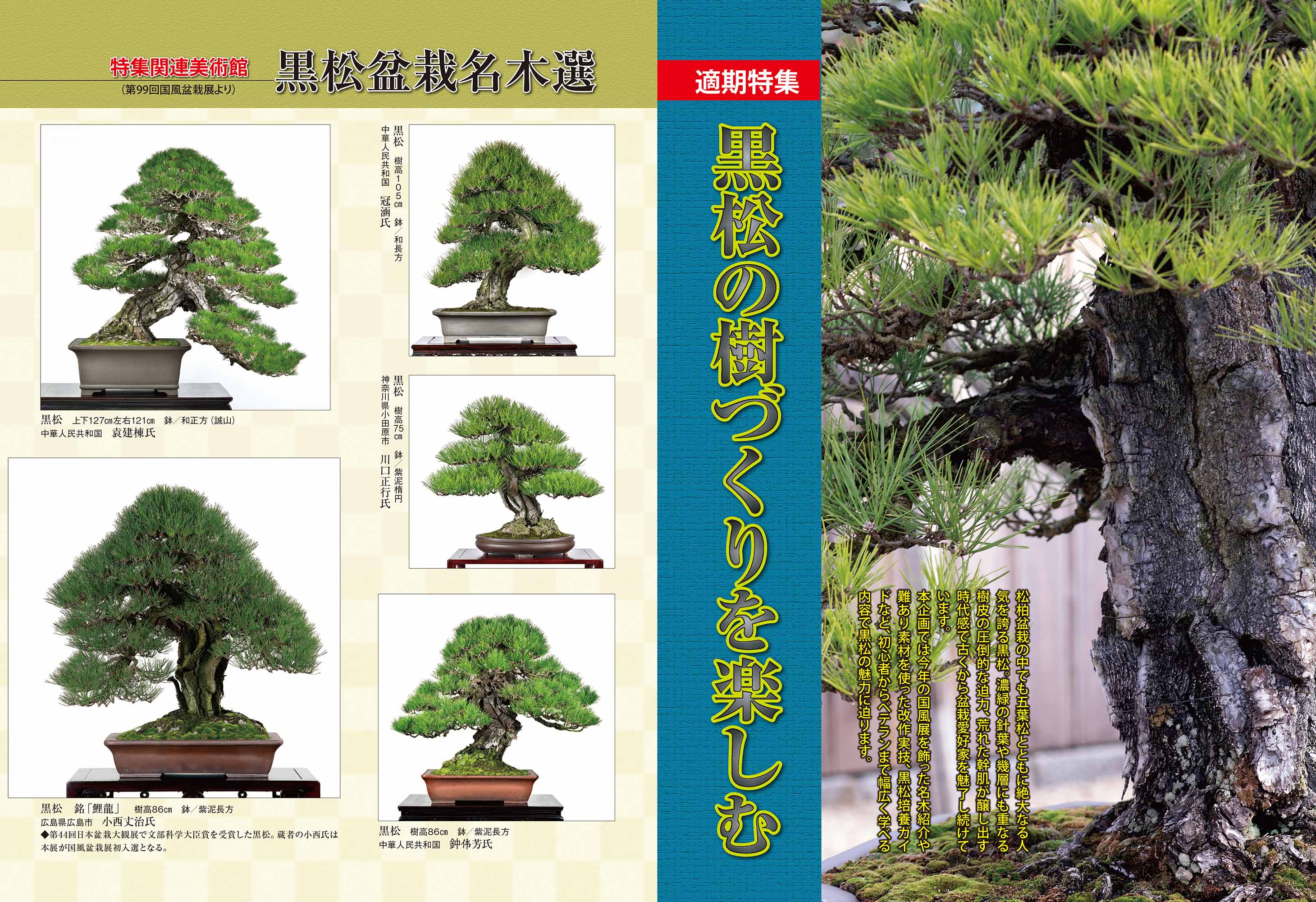 近代出版 編集部 (@kinbon_bonsai) / X