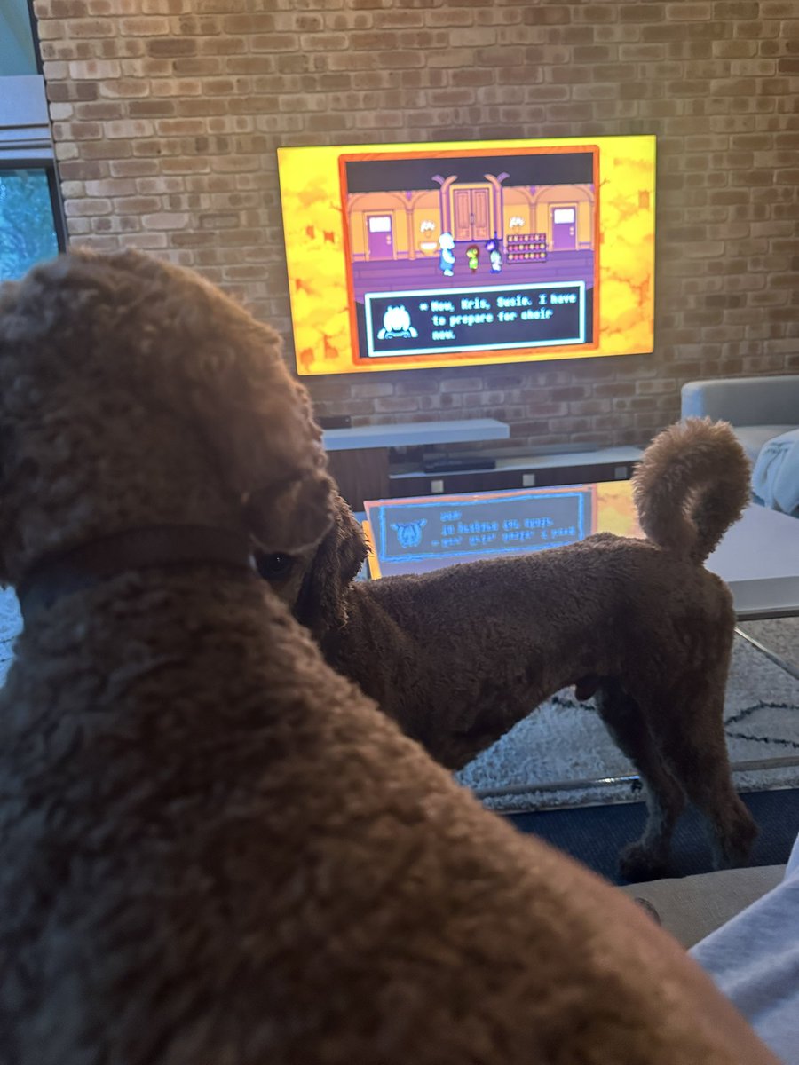 Sitting next to a fire, playing deltarune on my switch 2, with my dogs on my lap.
Life ain’t too bad 😭