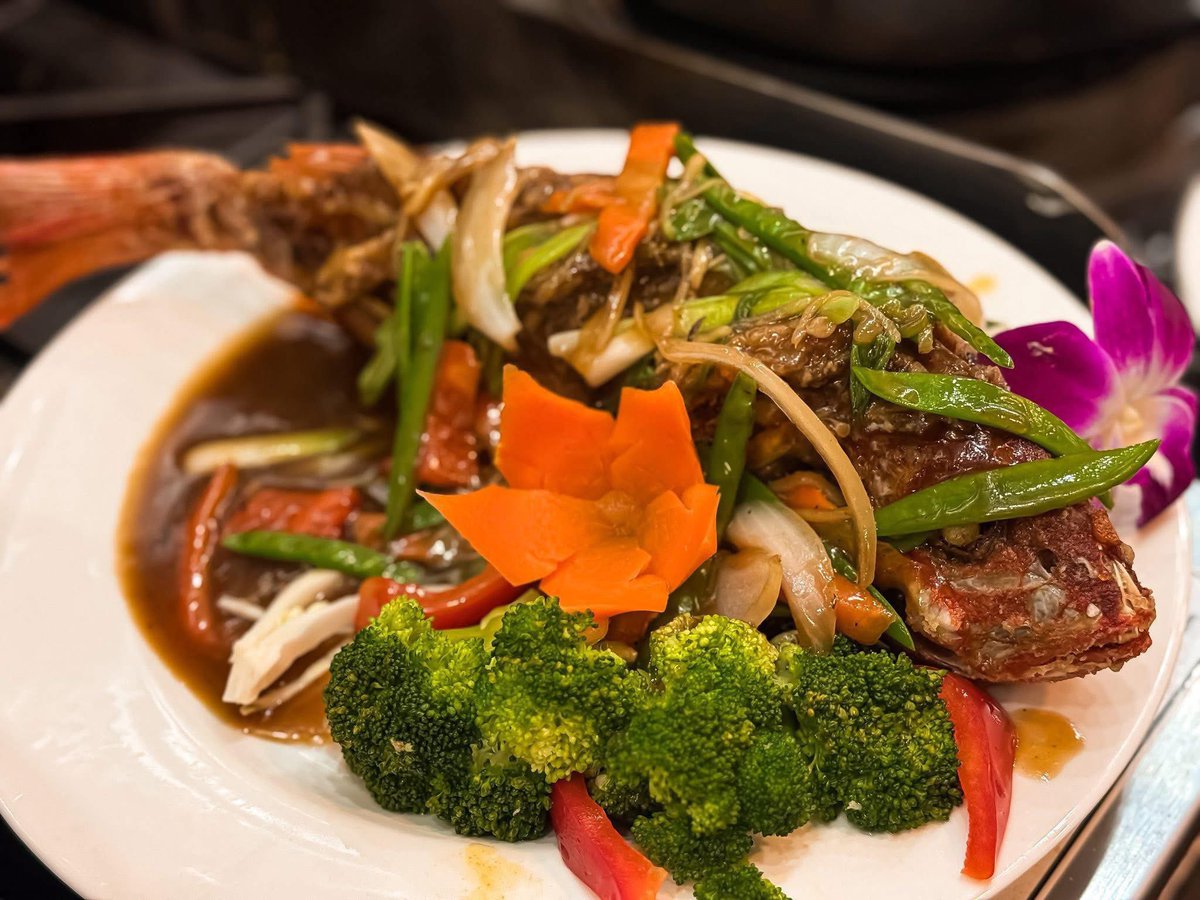 Just in! Whole red snapper, flavor your way…take your pick! 

Red Snapper in Sweet n Sour Sauce
Red Snapper in Hot Basil Sauce
Red Snapper in Ginger Sauce

Veranda Kitchen &amp; Bar
📍2864 N University Dr | Coral Springs, FL