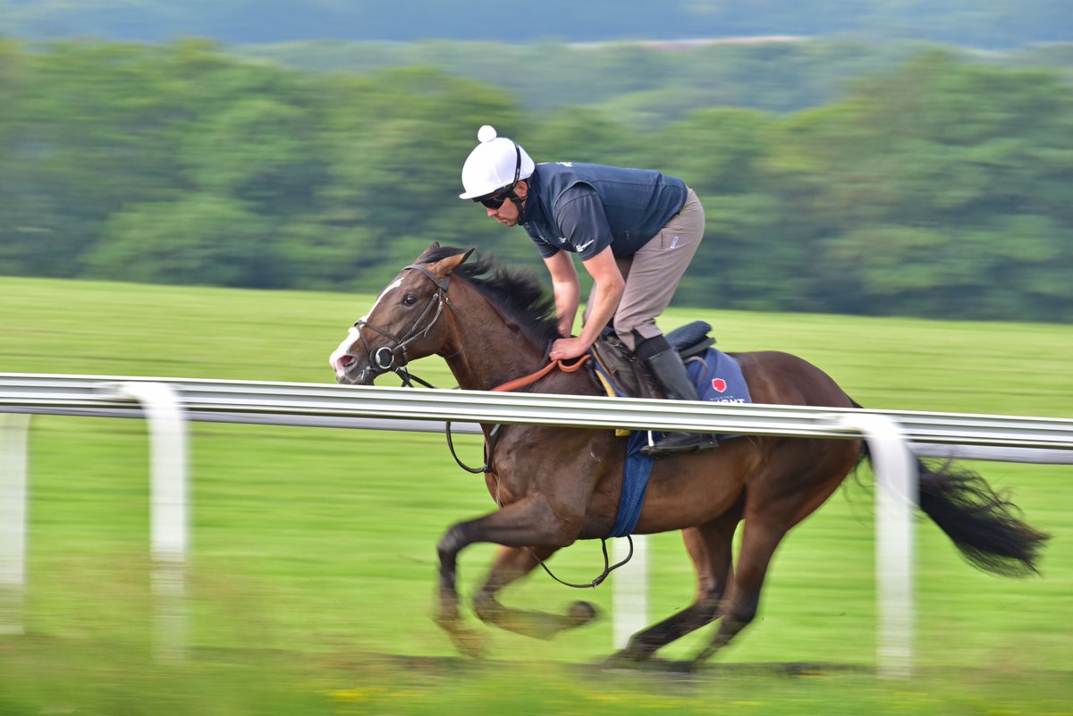 William Knight (@wknightracing) on Twitter photo BLUE TRAIN runs today <a href="/WolvesRaces/">Wolverhampton Races</a> at 5.50pm with Brandon Wilkie booked to ride.
Good Luck to <a href="/KennetValleySyn/">Kennet Valley Syndicates</a> 🍀
Sponsored by <a href="/chestnutgroupUK/">CHESTNUT</a> and <a href="/IMPGraphics/">imp</a>. BLUE TRAIN runs today <a href="/WolvesRaces/">Wolverhampton Races</a> at 5.50pm with Brandon Wilkie booked to ride.
Good Luck to <a href="/KennetValleySyn/">Kennet Valley Syndicates</a> 🍀
Sponsored by <a href="/chestnutgroupUK/">CHESTNUT</a> and <a href="/IMPGraphics/">imp</a>.