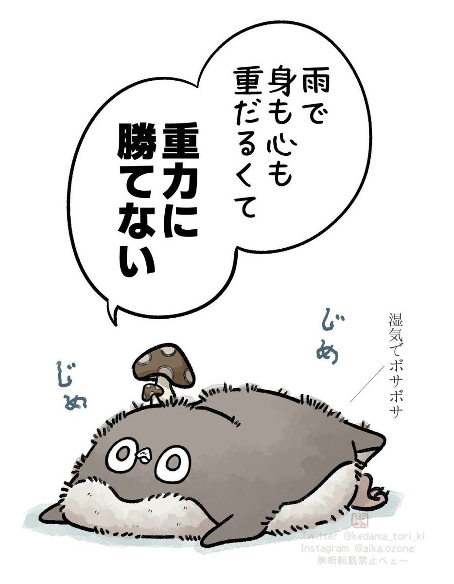 ちょき (@choki1206) / X