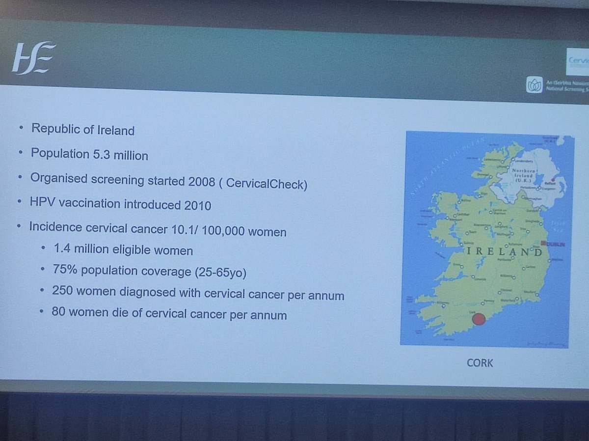 Dr Rachael Comer tweet media