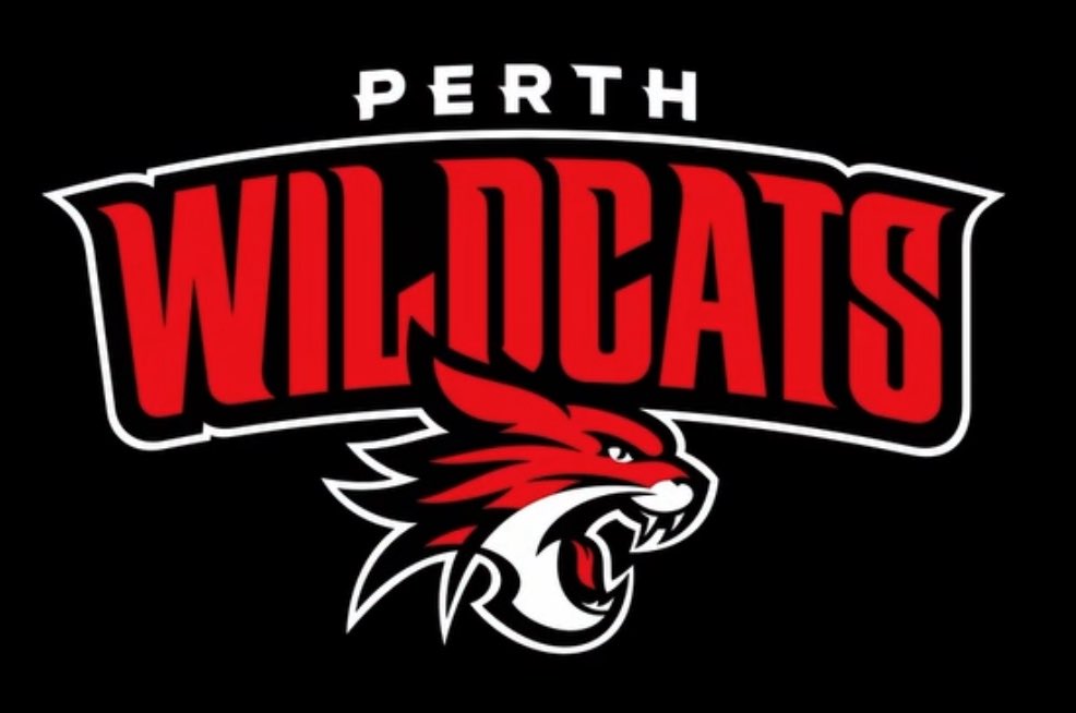 New Wildcats logo, what are your thoughts?
