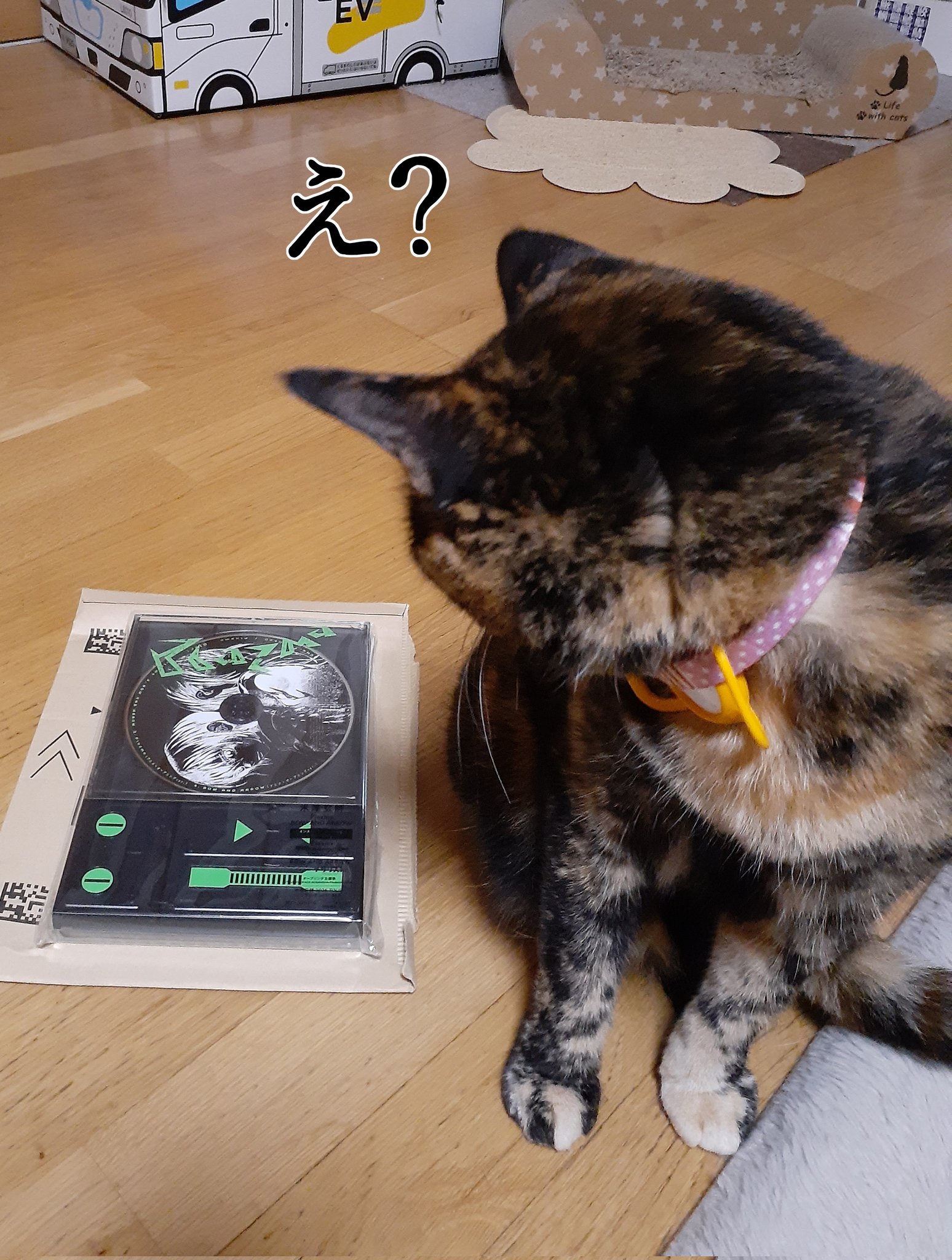 はるるん様 ぱる(팔)@𝙉𝙚𝙭𝙩 ︎ 未定 on X: 