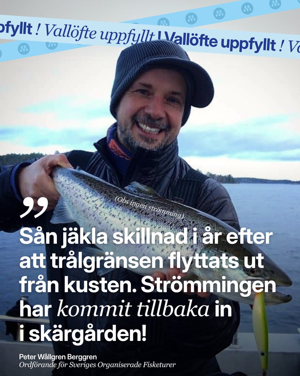 Moderaterna tweet media