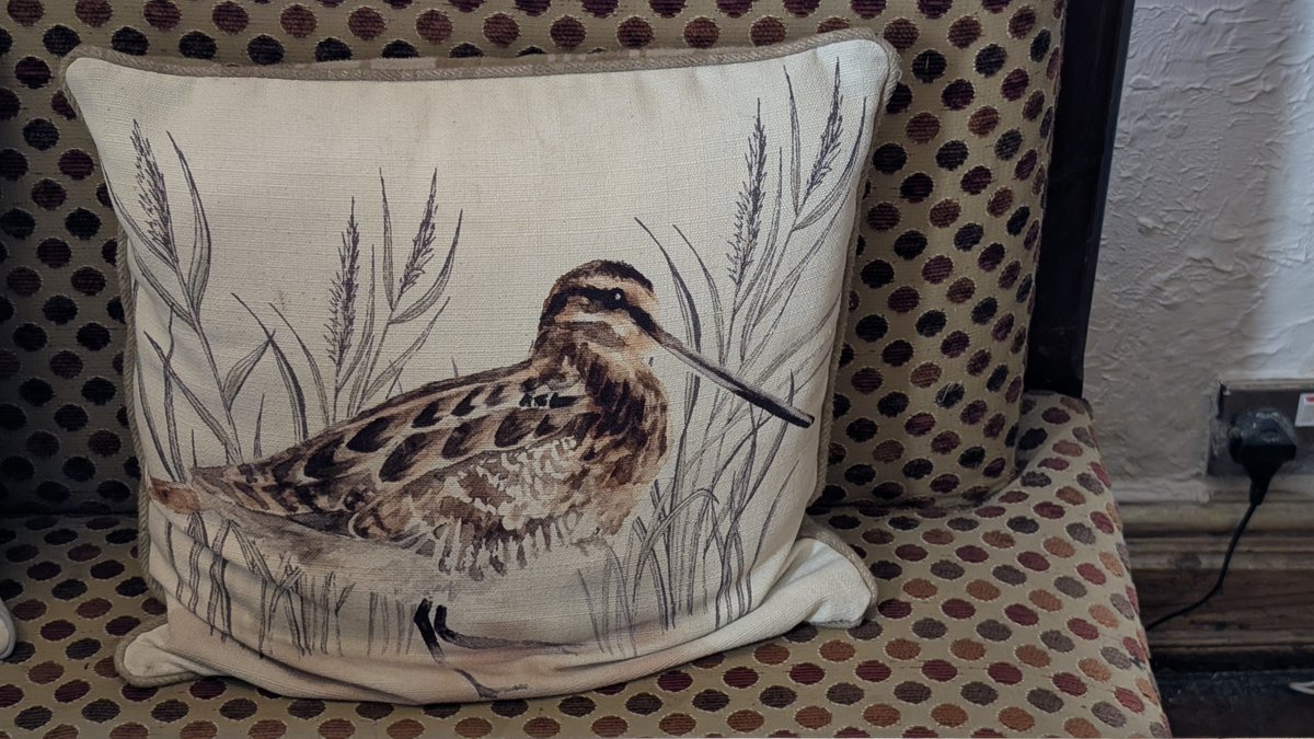 PubBirder tweet media
