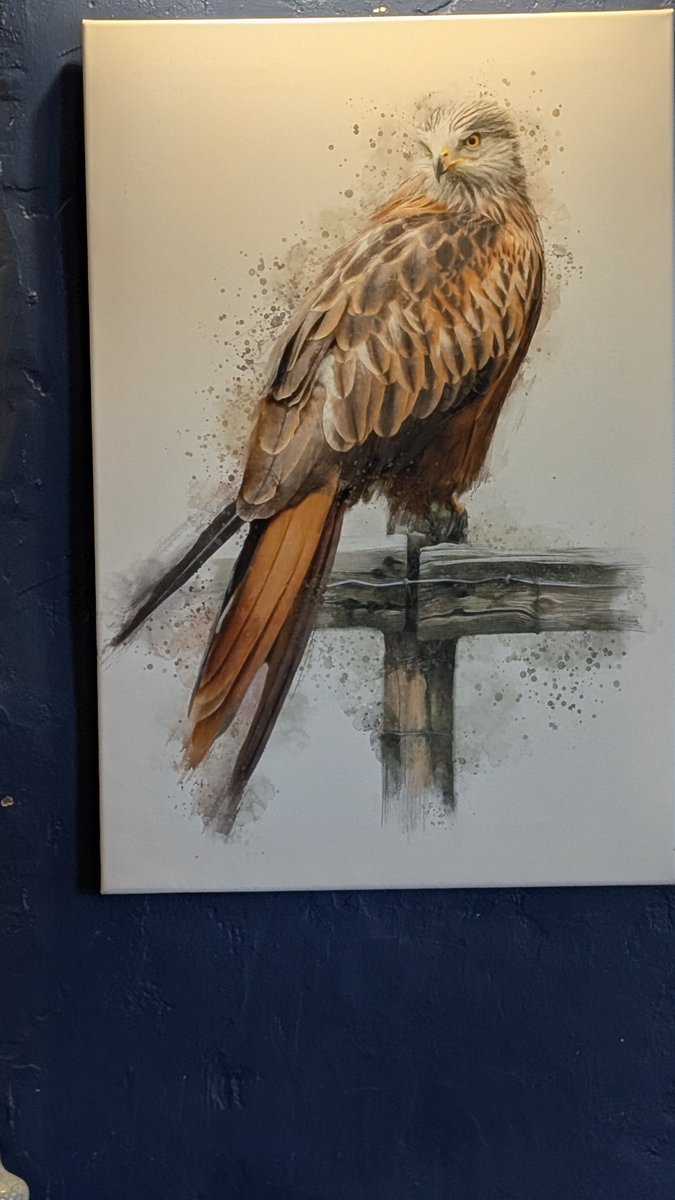 PubBirder tweet media