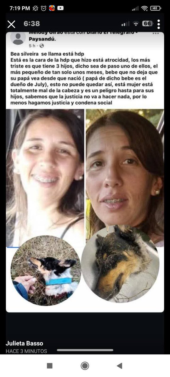 ntl_reyes's tweet photo. Se debe hacer justicia! #noalmaltratoanimal https://t.co/VfzEfFbVQr