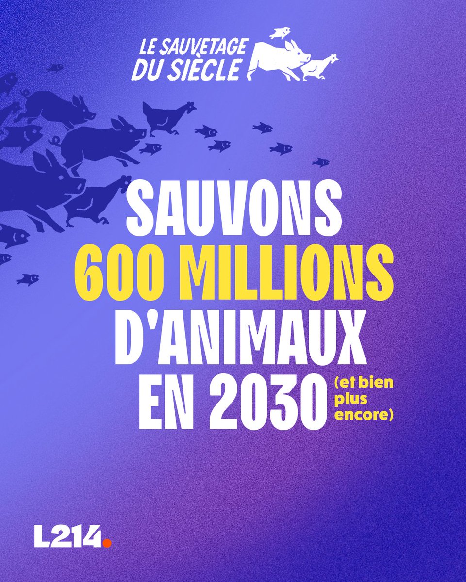 L214 éthique & animaux tweet media