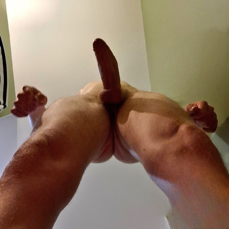 White XXL 🐃 tweet media