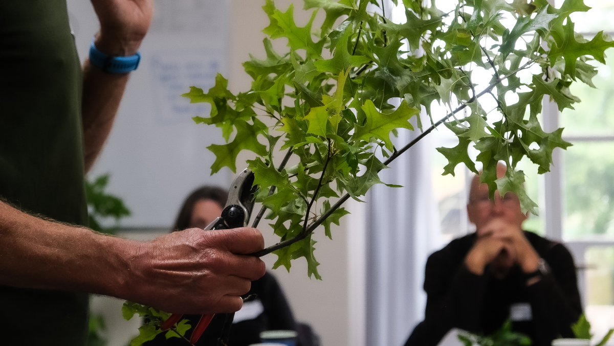 Forest_Research's tweet image. 🤗🌳 We had a fantastic day at Sheffield Park Gardens in Sussex last week, welcoming #Observatree volunteers for a packed schedule of learning. 

✌️ Huge thanks to everyone who joined us.

@WoodlandTrust @nationaltrust

#Biosecurity #TreeAlert