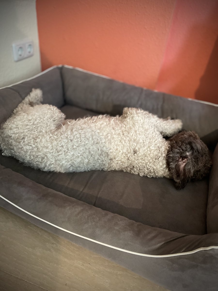 PatricLand2's tweet photo. Heute ist wie Montag💤 https://t.co/NS2R6ktlg0