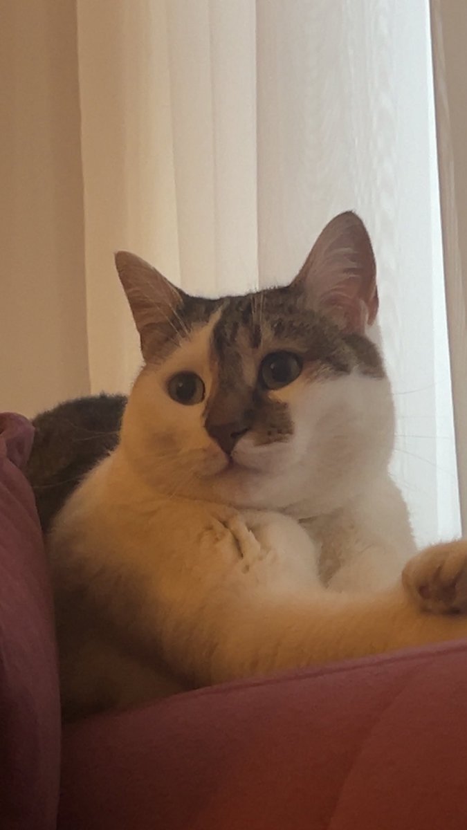 Onu bırakıp tatile gittiğimiz için küsmüş bir mayalı poğaça