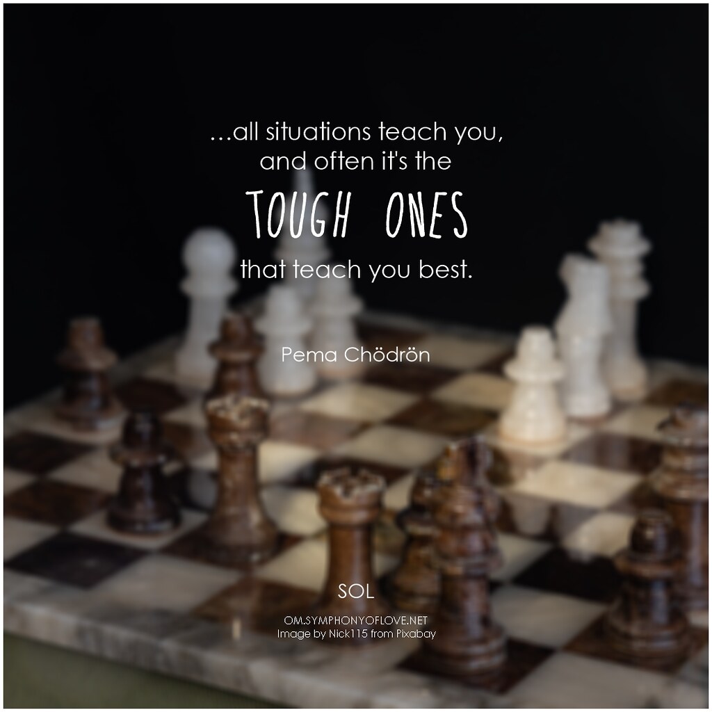 0midp's tweet photo. Pema Chödrön …all situations teach you, and often it's the tough ones that teach you best https://t.co/djgZl3CFZU https://t.co/fyHtQFjOuD