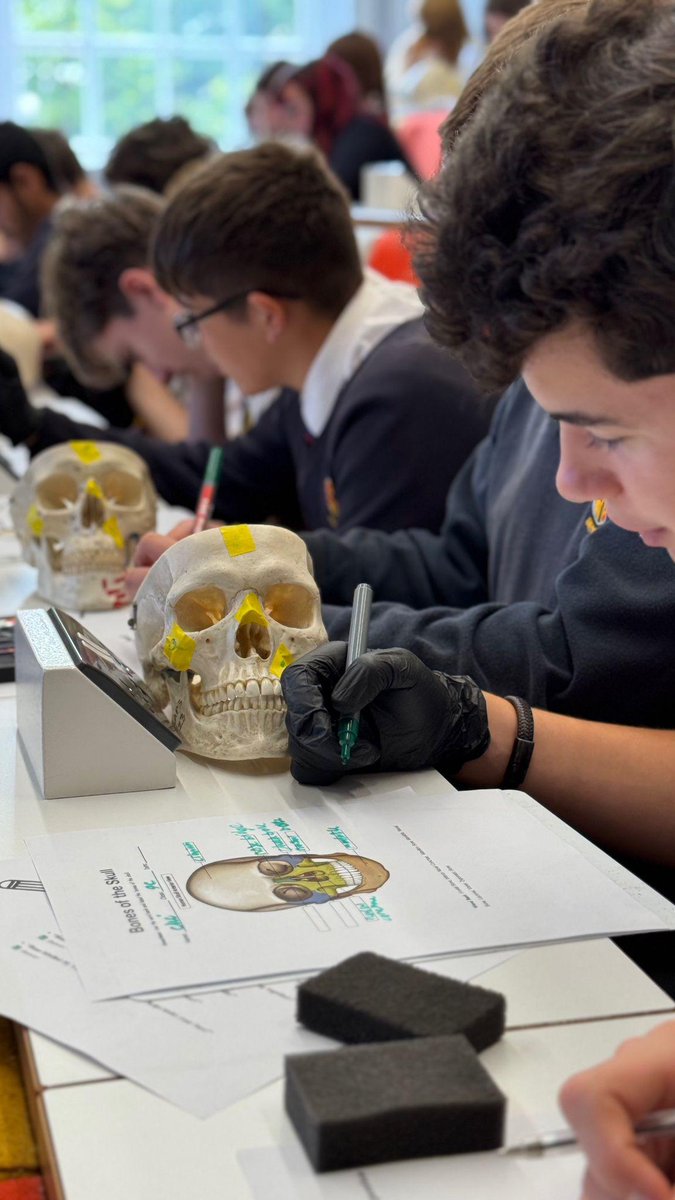 Cardiff HE Roadshow (@cdf_highered) on Twitter photo Thanks to <a href="/YsgolBrynteg/">Brynteg Comprehensive school</a> for visiting <a href="/cardiffuni/">Cardiff University</a> yesterday for a campus day with a Dentistry taster session run by <a href="/AbusalemTaqwa/">Dr Taqwa Abusalem (PhD)(FHEA)</a> ! Thanks to <a href="/YsgolBrynteg/">Brynteg Comprehensive school</a> for visiting <a href="/cardiffuni/">Cardiff University</a> yesterday for a campus day with a Dentistry taster session run by <a href="/AbusalemTaqwa/">Dr Taqwa Abusalem (PhD)(FHEA)</a> !