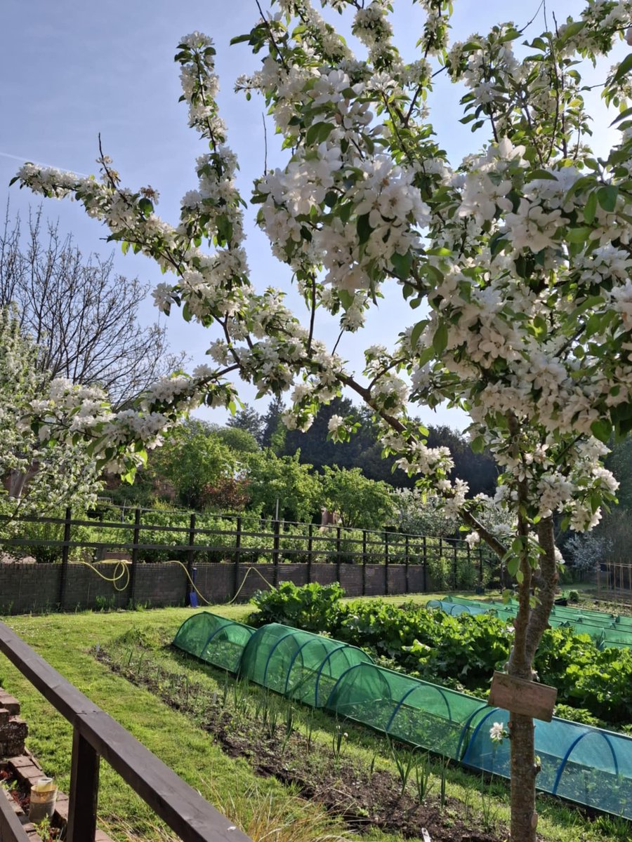 📷 Come and Visit Erlas Victorian Walled Garden! 📷
Looking for a peaceful place to explore, relax, and support a great cause? Erlas Victorian Walled Garden is open for all to enjoy!
Bryn Estyn Road, Wrexham, LL13 9TY
Open: Monday to Friday 9:00am - 3pm