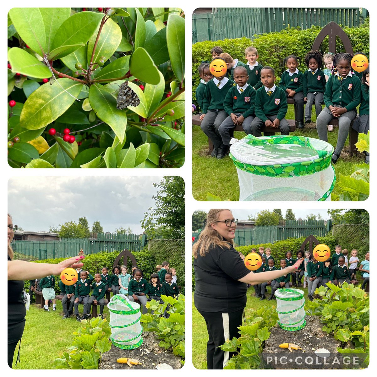 Reception tweet media