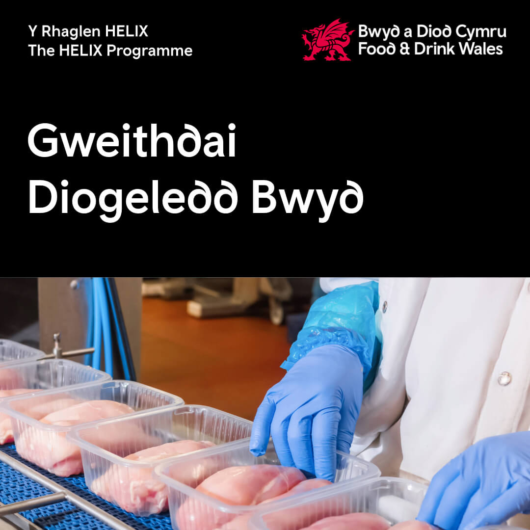 Mae ein cyfres o weithdai diogelwch bwyd yn edrych ar rai o'r meysydd allweddol i weithwyr proffesiynol technegol bwyd a diod ganolbwyntio arnynt.
📌- Canolfan Diwydiant Bwyd ZERO2FIVE, Caerdydd
Cofrestrwch nawr: zero2five.org.uk/cy/hyfforddian…