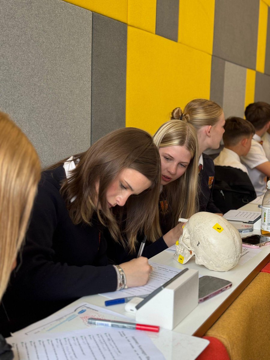 Cardiff HE Roadshow (@cdf_highered) on Twitter photo Diolch i <a href="/YsgolBrynteg/">Brynteg Comprehensive school</a> am ymweld â <a href="/prifysgolCdydd/">Prifysgol Caerdydd</a> ddoe ar gyfer diwrnod ar y campws gyda sesiwn flasu Dentistry a gynhelir gan <a href="/AbusalemTaqwa/">Dr Taqwa Abusalem (PhD)(FHEA)</a>! Diolch i <a href="/YsgolBrynteg/">Brynteg Comprehensive school</a> am ymweld â <a href="/prifysgolCdydd/">Prifysgol Caerdydd</a> ddoe ar gyfer diwrnod ar y campws gyda sesiwn flasu Dentistry a gynhelir gan <a href="/AbusalemTaqwa/">Dr Taqwa Abusalem (PhD)(FHEA)</a>!