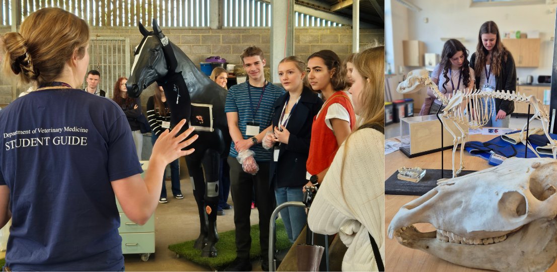 Cambridge Vet School (@camvetschool) on Twitter photo Do you know someone thinking about studying #VeterinaryMedicine? Why not tell them about this Open Day at the Cambridge Vet School <a href="/CamVetSchool/">Cambridge Vet School</a> on 29th August!👇🏼
vet.cam.ac.uk/news/calling-a…
#BeACambridgeVet #CambridgeVet #6thForm #6thFormStudents Do you know someone thinking about studying #VeterinaryMedicine? Why not tell them about this Open Day at the Cambridge Vet School <a href="/CamVetSchool/">Cambridge Vet School</a> on 29th August!👇🏼
vet.cam.ac.uk/news/calling-a…
#BeACambridgeVet #CambridgeVet #6thForm #6thFormStudents