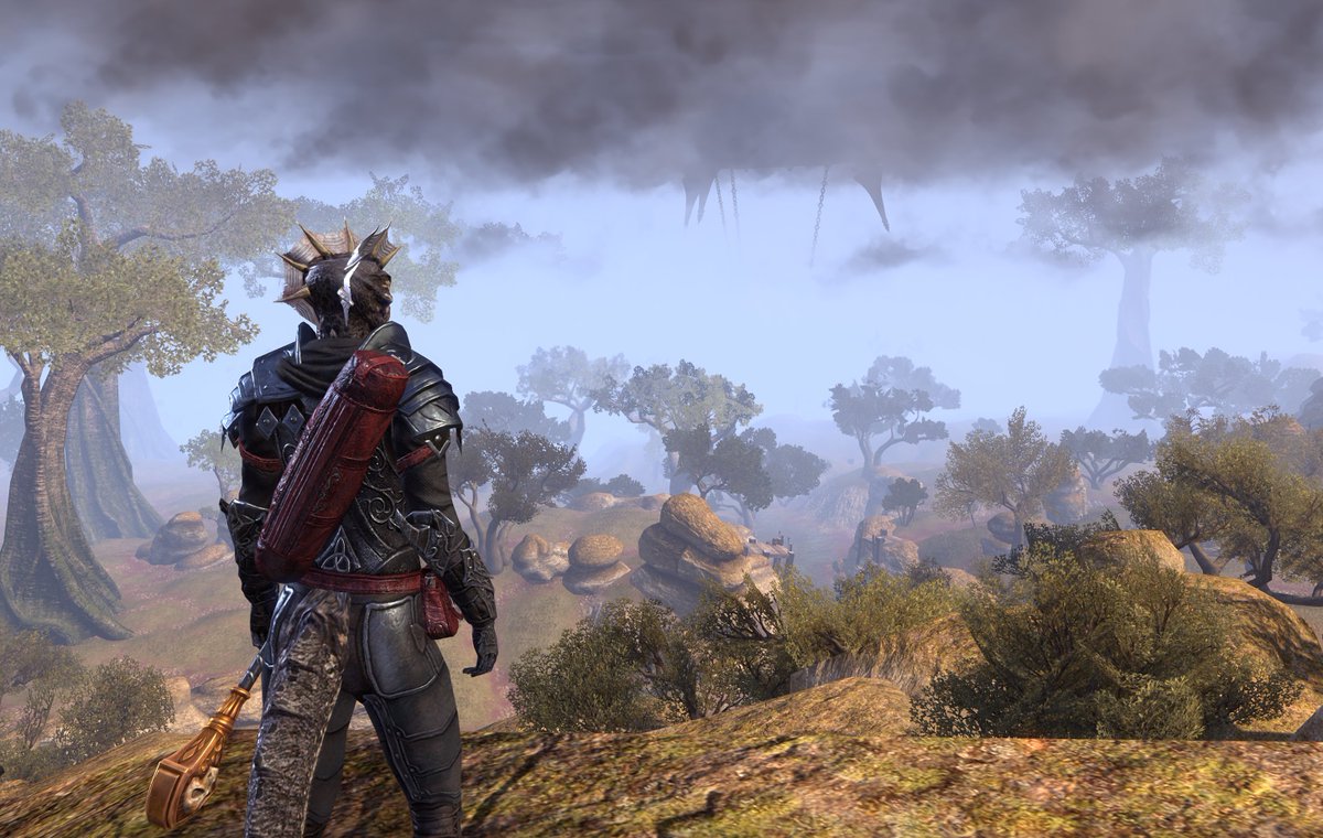 I finally found a few pieces of armor transmog that look alright. I really liked the Argonian homelands fit I had for a minute, but this feels more "bruiser"
It's not great, but it's something, and I didn't pay irl money for it, so there's that...

(Also the view is killer :3)