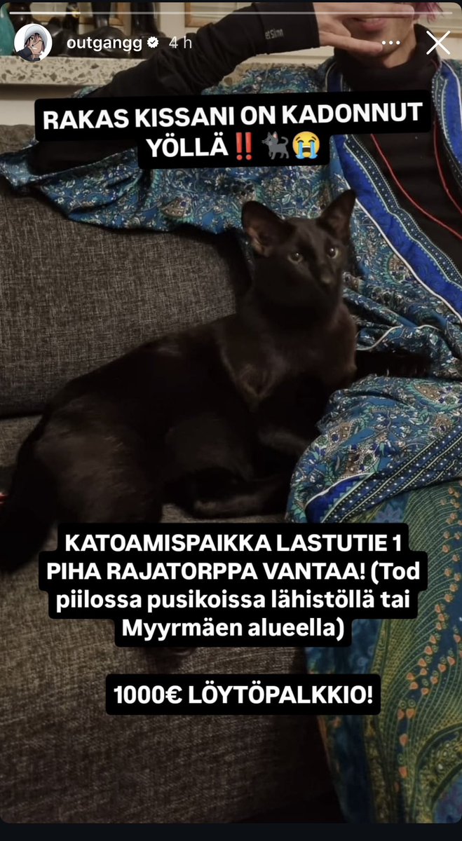 mikaniikko (@mikaniikko) on Twitter photo Tiedän tunteen kun kissa katoaa. Omaa kissaamme ei silloin aikanaan tonnillakaan löytynyt. Miladin kissa katosi nyt ja palkkio palautuksesta on vaivan arvoinen jos asut Myyrmäen suunnilla../ . <a href="/Outgangg33/">Milad Dehghan PS🇫🇮</a> #Myyrmäki #Vantaa #kissa Tiedän tunteen kun kissa katoaa. Omaa kissaamme ei silloin aikanaan tonnillakaan löytynyt. Miladin kissa katosi nyt ja palkkio palautuksesta on vaivan arvoinen jos asut Myyrmäen suunnilla../ . <a href="/Outgangg33/">Milad Dehghan PS🇫🇮</a> #Myyrmäki #Vantaa #kissa