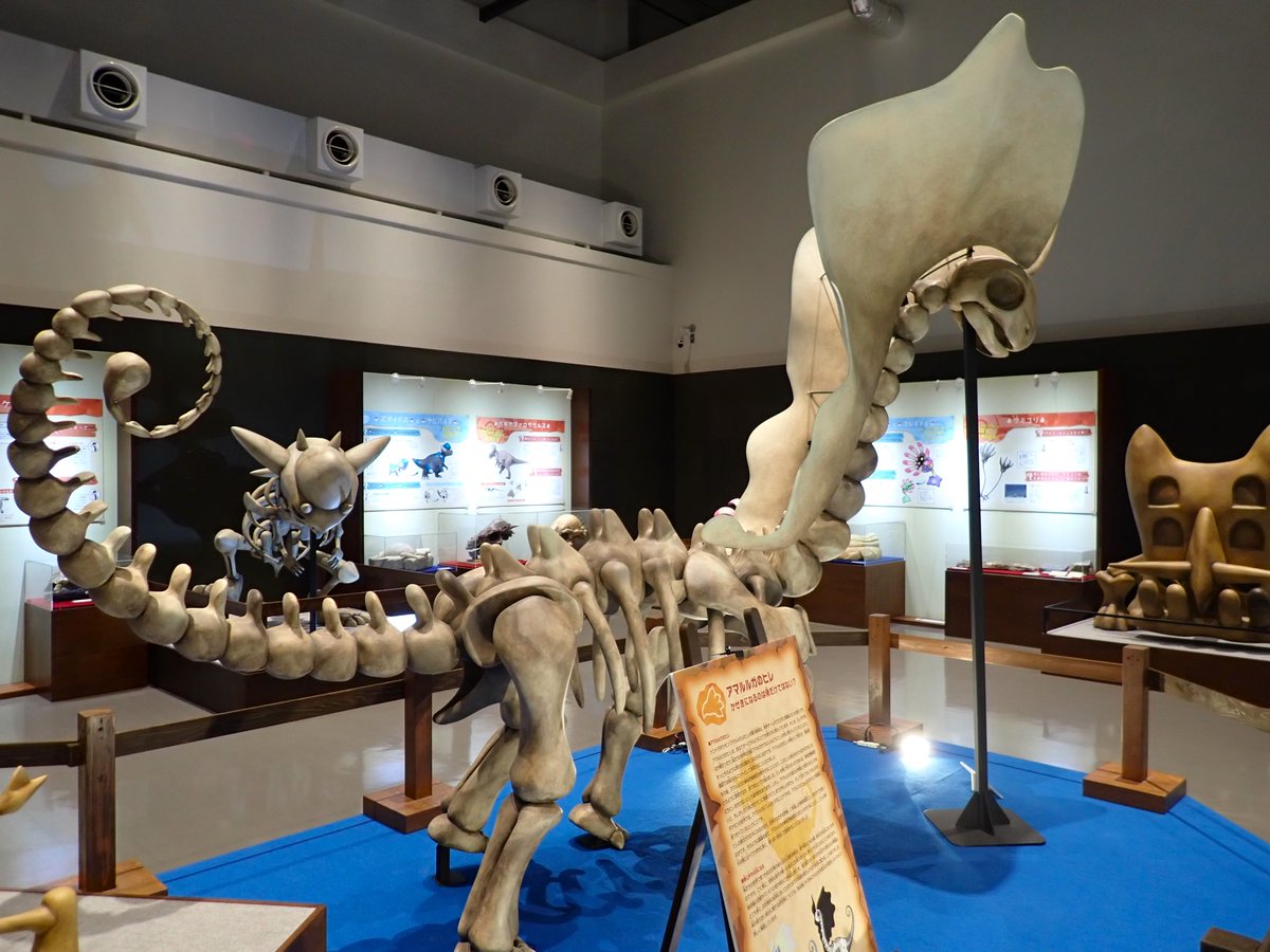 📢#ベネックス恐竜博物館 にて 「#ポケモン化石博物館」開催中