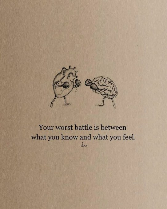 Mindful Maven (@mindfulmaven_) on Twitter photo 