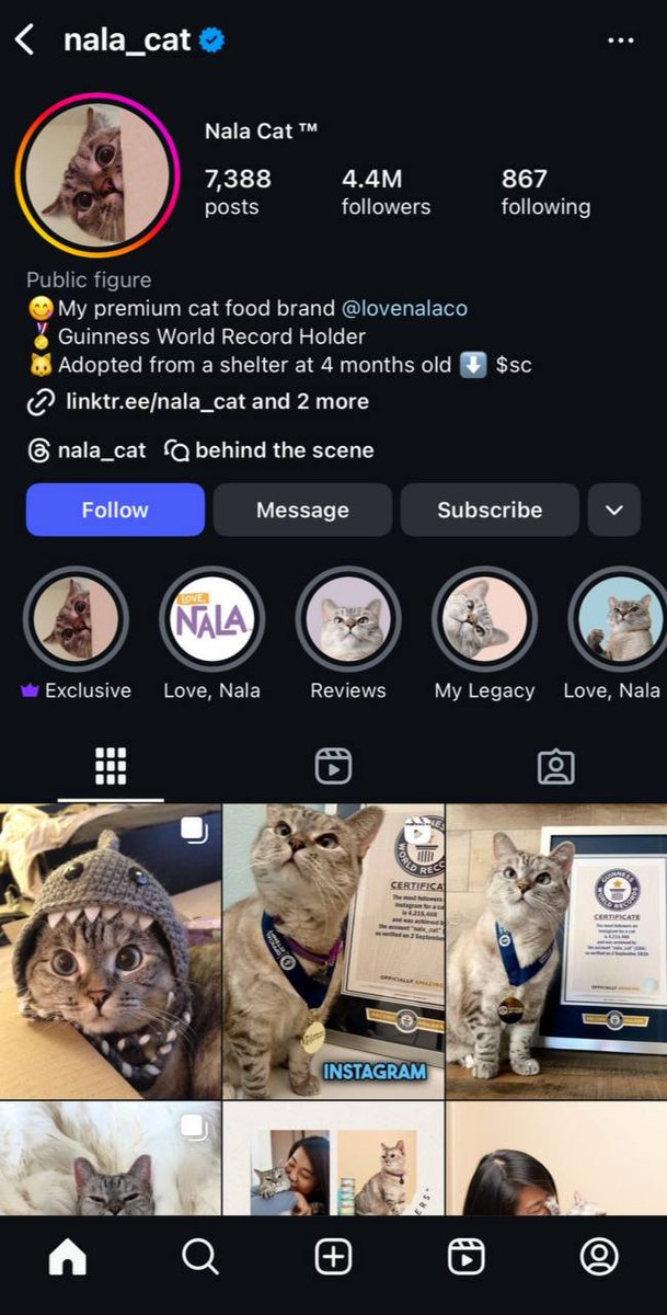 NalaCatEth's tweet photo. Look how famous $NALA is
#NalaCat #NALA #Cat https://t.co/GaupeiKwMj