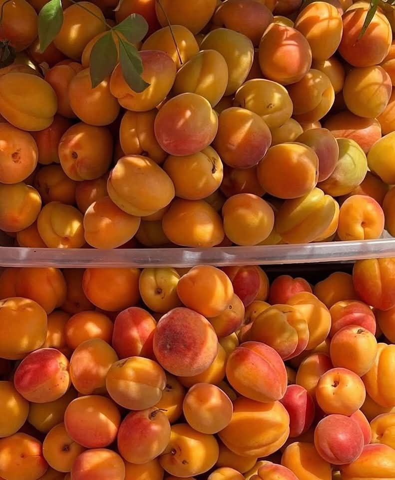 Bllury (@bllury) on Twitter photo 