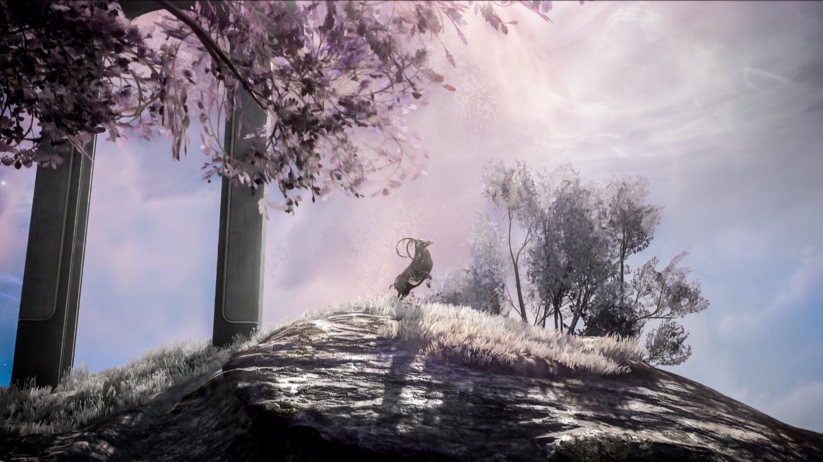 Tamm  🐏 -  [In game screenshot]

🎮 <a href="/PlayWarframe/">WARFRAME</a>

#tennocreate #warframecaptura  #warframescreenshot