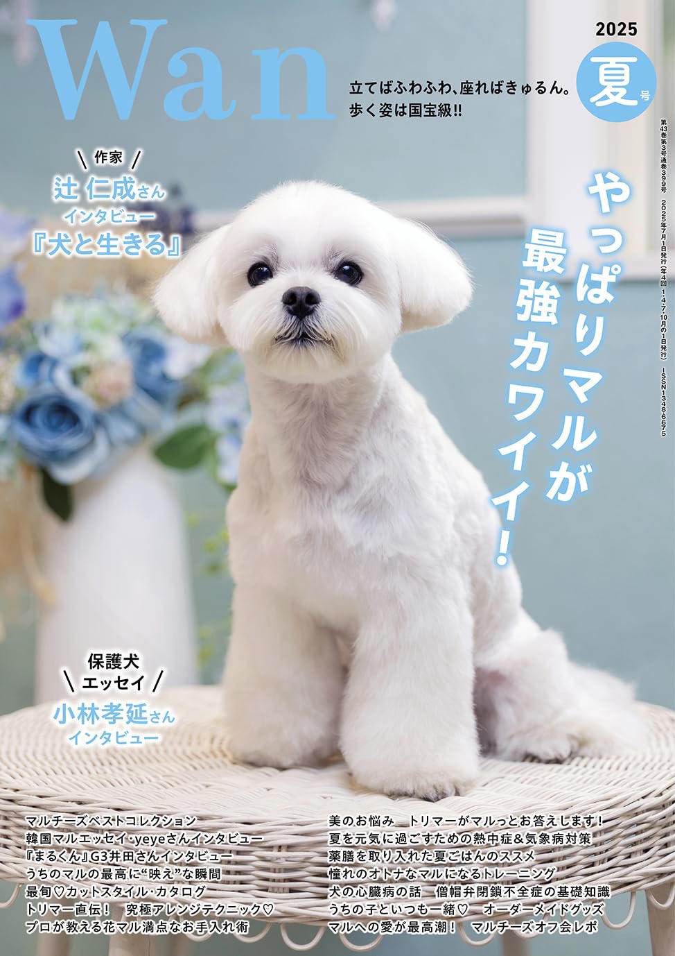 まるくん Amazon.co.jp: マルカ(Maruka) Rollin Posin Inline スマート