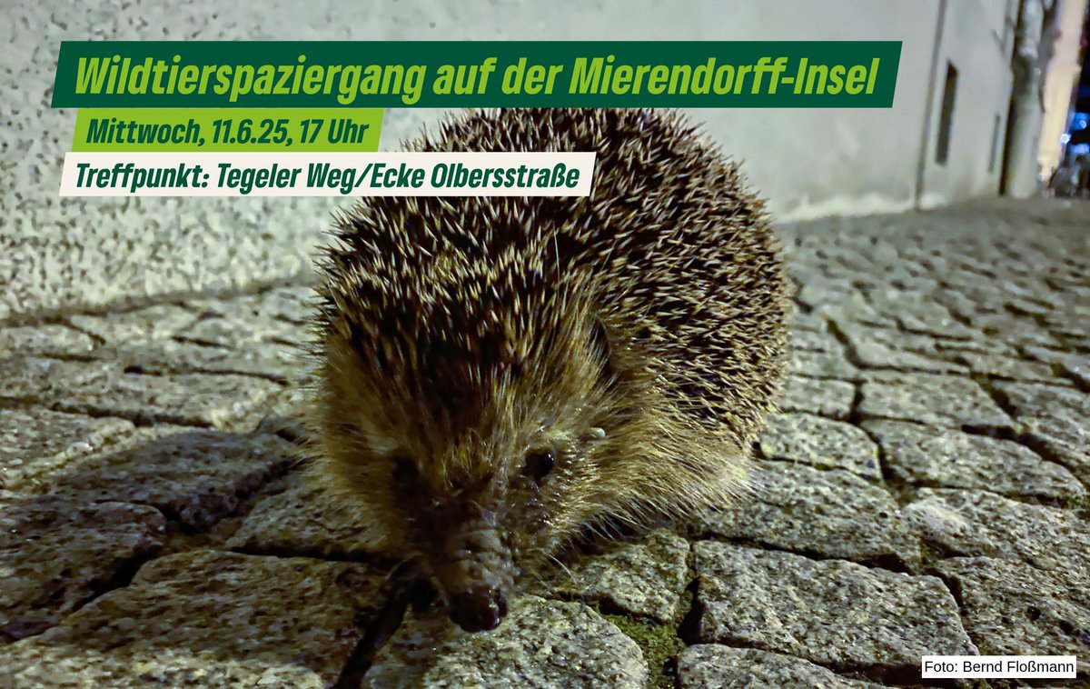 Bündnis 90/Die Grünen BVV CW tweet media