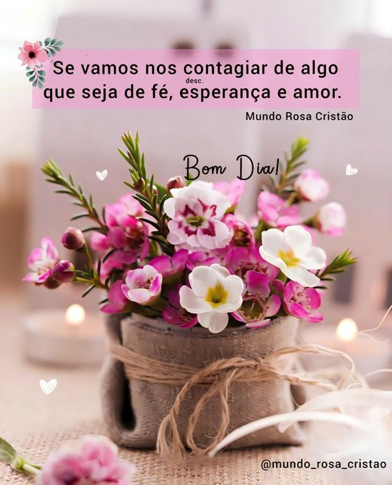 Eliane Haido (@elianehaido) on Twitter photo 