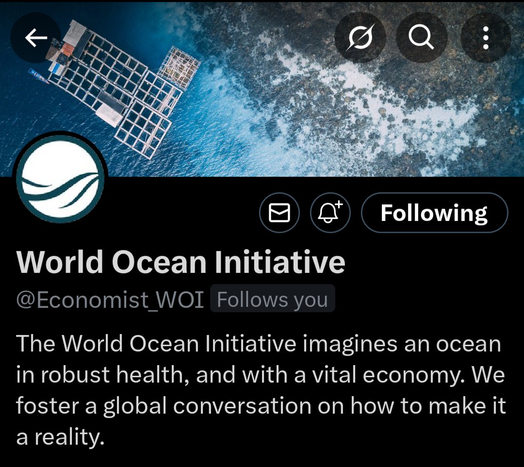 Matt 🌊 tweet media