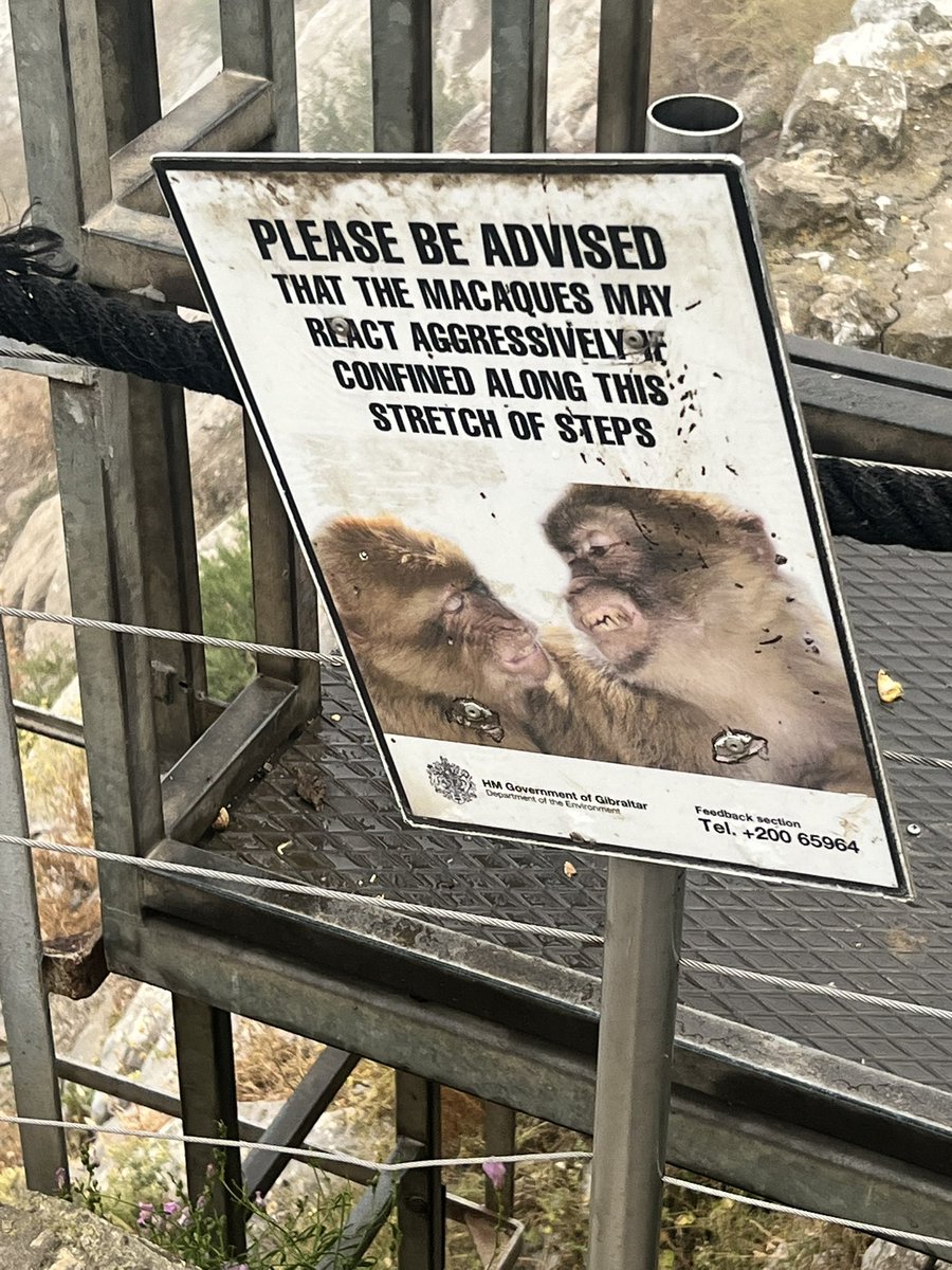 kto622's tweet photo. @tntradioempire on vacation and on the Rock of Gibraltar. Thought of you guys and how you may need to know the following: https://t.co/BjNUIkb7gI