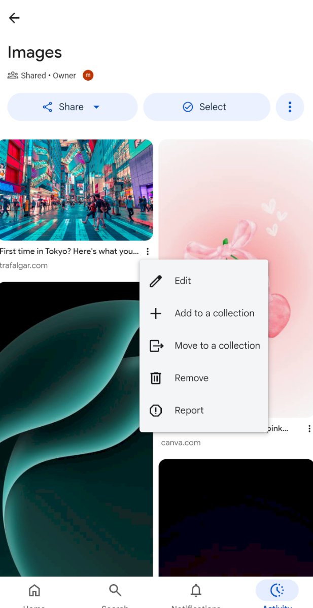 Ce nouveau Feed image sur Google Discover est très intéressant à analyser.

Qu'est-ce que l'on sait ?

Le nom de code de cette fonctionnalité est "Ember".

Comme le montre l'article de "androidauthority".

On peut ajouter plusieurs catégories pour avoir un flux d'image