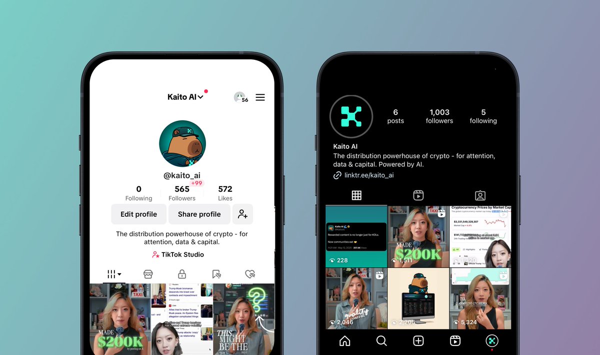 Spreading the Kaito vision, on both Instagram &amp; Tiktok.

It's time to follow on for the journey.