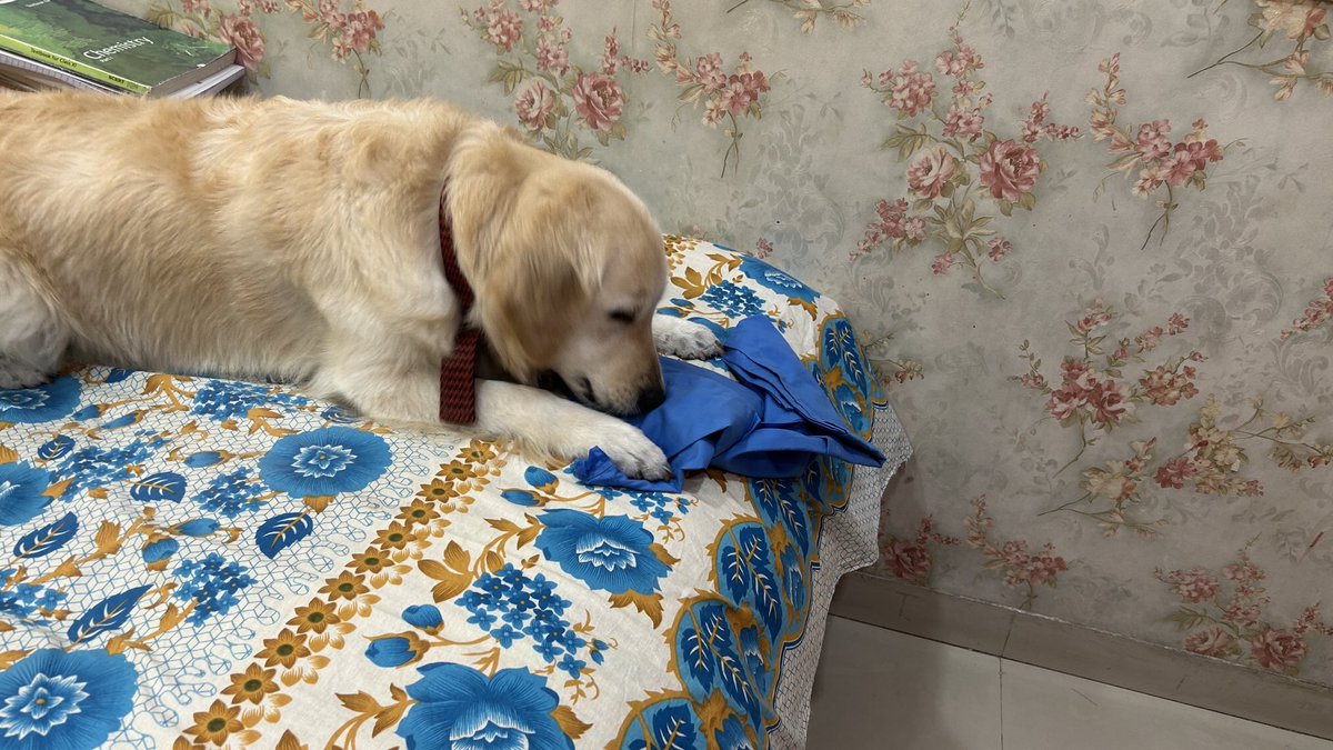 Joy Sanyal,MD, DM, (@joysanyal74) on Twitter photo I want paw paws scrubs-Mithi with my washed scrubs.<a href="/Hragy/">Hany Ragy</a> <a href="/swatigar/">Swati Garekar</a> <a href="/nadig_cardio/">SREEVATSA NADIG DM FSCAI FESC</a> <a href="/DrDeepakKrishn1/">Dr Deepak Krishnamurthy</a> I want paw paws scrubs-Mithi with my washed scrubs.<a href="/Hragy/">Hany Ragy</a> <a href="/swatigar/">Swati Garekar</a> <a href="/nadig_cardio/">SREEVATSA NADIG DM FSCAI FESC</a> <a href="/DrDeepakKrishn1/">Dr Deepak Krishnamurthy</a>