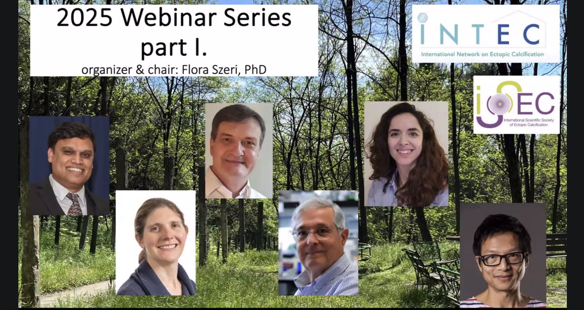 Thanks to Korng Ea for his excellent talk at the last <a href="/itnINTEC/">INTEC</a> <a href="/ISSECsociety/">ISSEC</a> webinar before the summer break. Thanks to all that participated so far in 2025