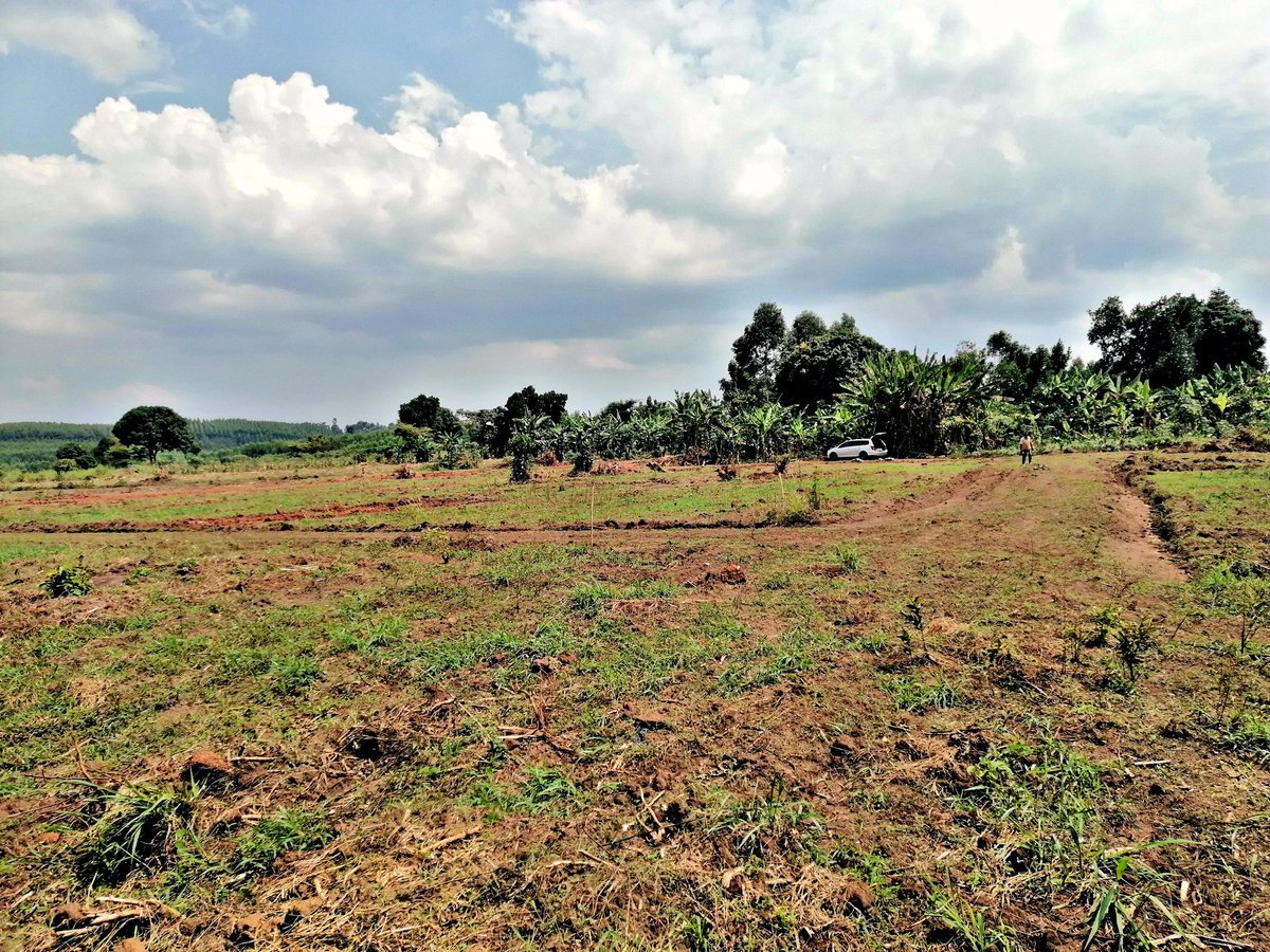 Namayumba Town Estate remains available for purchase; titles are now accessible for thorough due diligence. Each 50x100 ft plot is priced between 13 to 15 million, with a flexible payment plan offered.

Kindly call or WhatsApp us at 0754147747 or 0765237329.

Parliament Driving