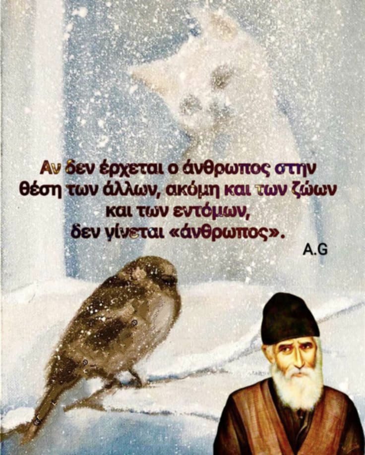 NASIA PAT (@patnasia) on Twitter photo 