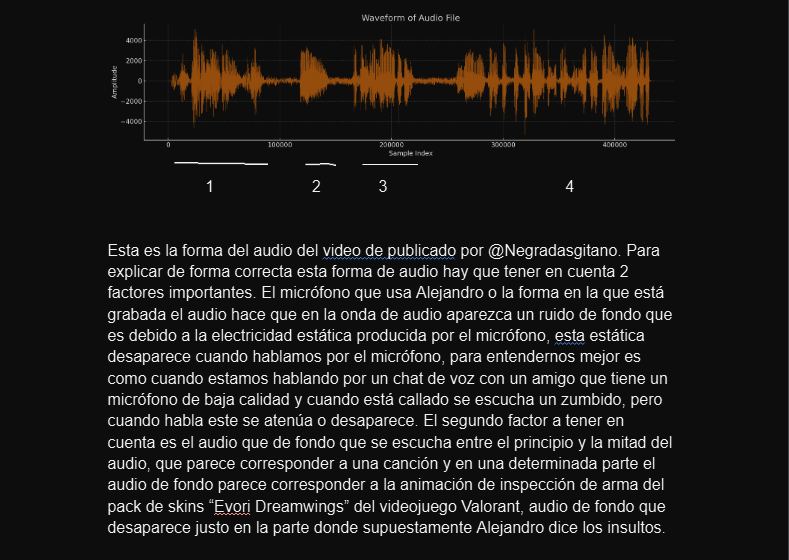 NegradasVLR's tweet image. Os dejo aqui un análisis que me ha hecho una persona con conocimientos de audio y video de manera altruista en el que explica la realidad de los hechos y que está dispuesto a explicarlo de cara al público.